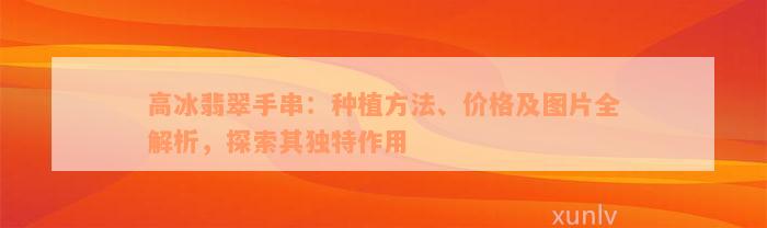 高冰翡翠手串：种植方法、价格及图片全解析，探索其独特作用