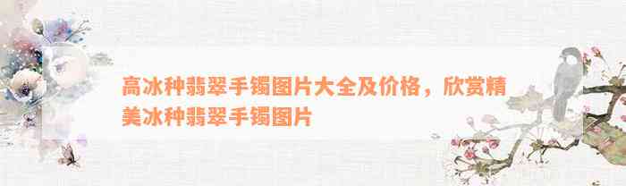 高冰种翡翠手镯图片大全及价格，欣赏精美冰种翡翠手镯图片