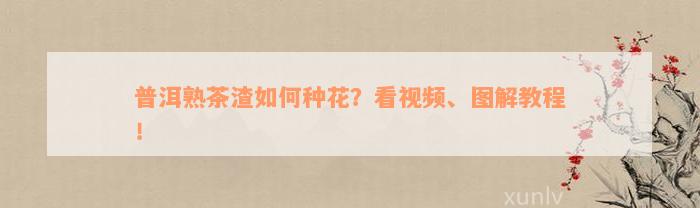 普洱熟茶渣如何种花？看视频、图解教程！