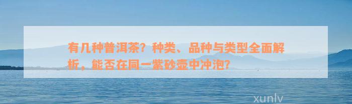 有几种普洱茶？种类、品种与类型全面解析，能否在同一紫砂壶中冲泡？