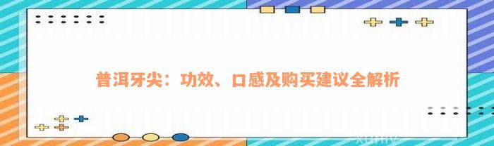 普洱牙尖：功效、口感及购买建议全解析