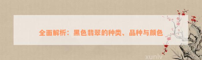 全面解析：黑色翡翠的种类、品种与颜色