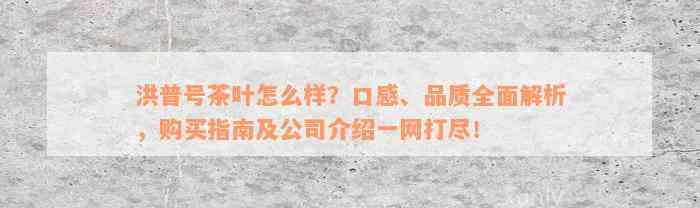 洪普号茶叶怎么样？口感、品质全面解析，购买指南及公司介绍一网打尽！