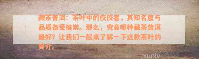 藏茶普洱：茶叶中的佼佼者，其知名度与品质备受推崇。那么，究竟哪种藏茶普洱最好？让我们一起来了解一下这款茶叶的简介。