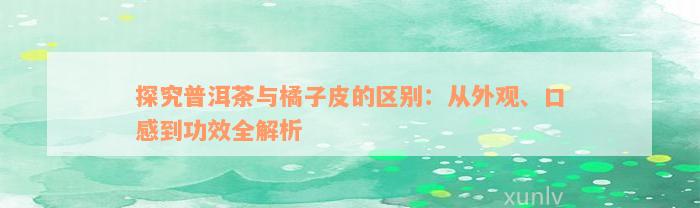 探究普洱茶与橘子皮的区别：从外观、口感到功效全解析