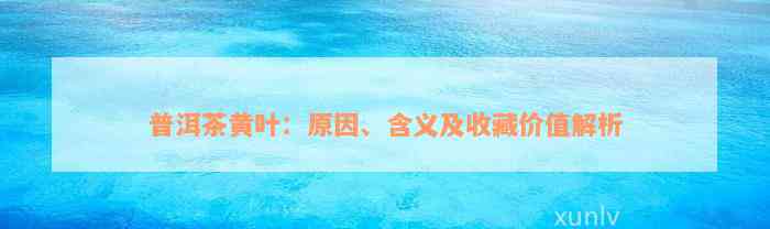 普洱茶黄叶：原因、含义及收藏价值解析