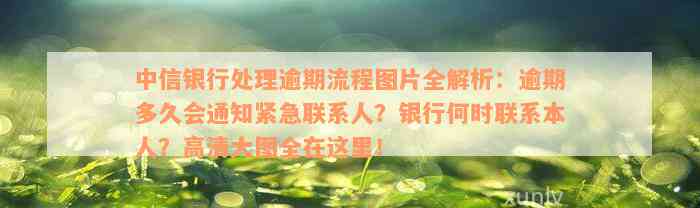 中信银行处理逾期流程图片全解析：逾期多久会通知紧急联系人？银行何时联系本人？高清大图全在这里！