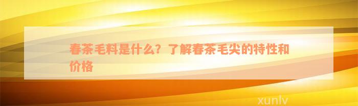 春茶毛料是什么？了解春茶毛尖的特性和价格