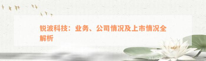 锐波科技：业务、公司情况及上市情况全解析