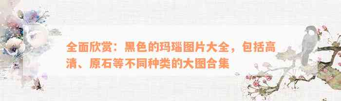 全面欣赏：黑色的玛瑙图片大全，包括高清、原石等不同种类的大图合集