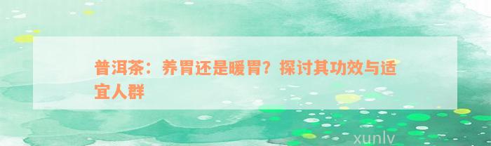 普洱茶：养胃还是暖胃？探讨其功效与适宜人群