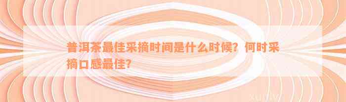 普洱茶最佳采摘时间是什么时候？何时采摘口感最佳？