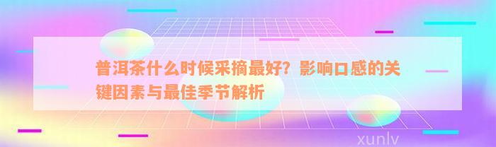 普洱茶什么时候采摘最好？影响口感的关键因素与最佳季节解析