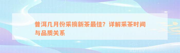 普洱几月份采摘新茶最佳？详解采茶时间与品质关系