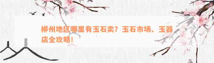 郴州地区哪里有玉石卖？玉石市场、玉器店全攻略！