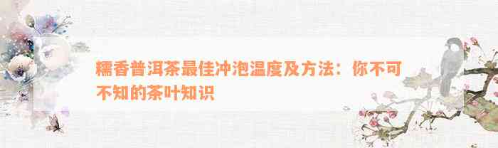 糯香普洱茶最佳冲泡温度及方法：你不可不知的茶叶知识