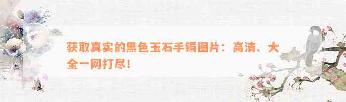 获取真实的黑色玉石手镯图片：高清、大全一网打尽！