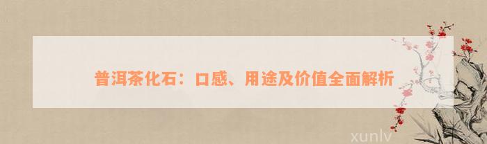 普洱茶化石：口感、用途及价值全面解析