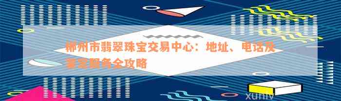 郴州市翡翠珠宝交易中心：地址、电话及鉴定服务全攻略