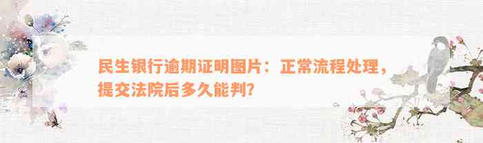 民生银行逾期证明图片：正常流程处理，提交法院后多久能判？