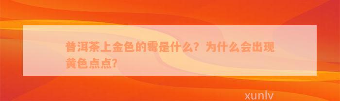 普洱茶上金色的霉是什么？为什么会出现黄色点点？