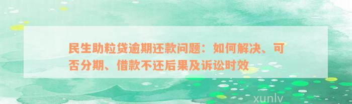 民生助粒贷逾期还款问题：如何解决、可否分期、借款不还后果及诉讼时效