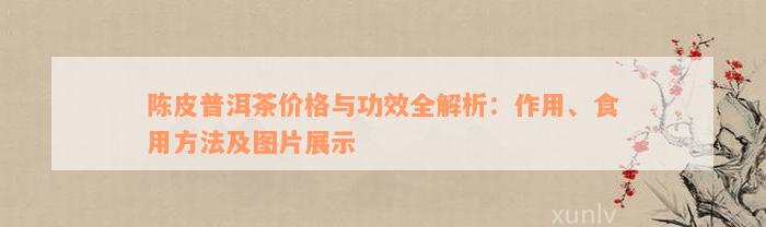 陈皮普洱茶价格与功效全解析：作用、食用方法及图片展示