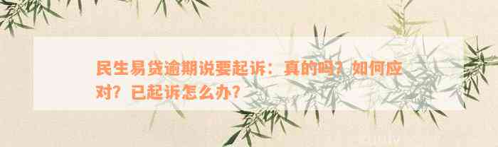 民生易贷逾期说要起诉：真的吗？如何应对？已起诉怎么办？