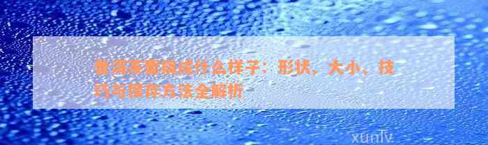 普洱茶要撬成什么样子：形状、大小、技巧与保存方法全解析