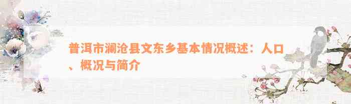 普洱市澜沧县文东乡基本情况概述：人口、概况与简介