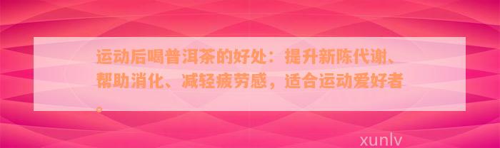 运动后喝普洱茶的好处：提升新陈代谢、帮助消化、减轻疲劳感，适合运动爱好者。