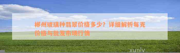 郴州玻璃种翡翠价格多少？详细解析每克价格与批发市场行情