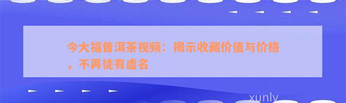 今大福普洱茶视频：揭示收藏价值与价格，不再徒有虚名