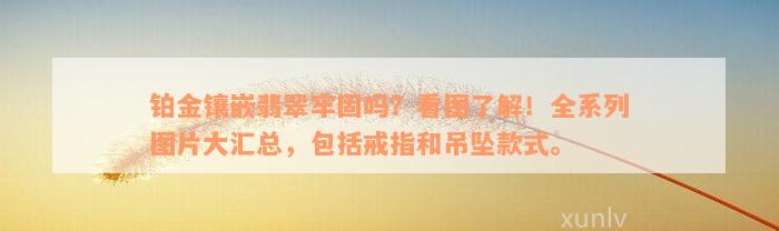 铂金镶嵌翡翠牢固吗？看图了解！全系列图片大汇总，包括戒指和吊坠款式。