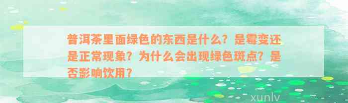 普洱茶里面绿色的东西是什么？是霉变还是正常现象？为什么会出现绿色斑点？是否影响饮用？