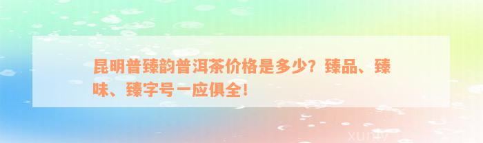 昆明普臻韵普洱茶价格是多少？臻品、臻味、臻字号一应俱全！