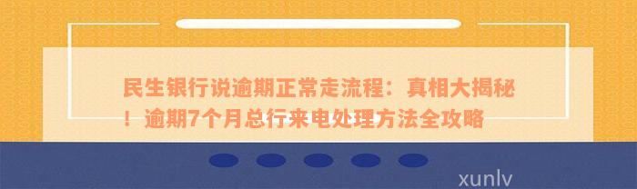 民生银行说逾期正常走流程：真相大揭秘！逾期7个月总行来电处理方法全攻略