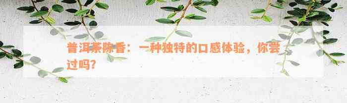 普洱茶陈香：一种独特的口感体验，你尝过吗？