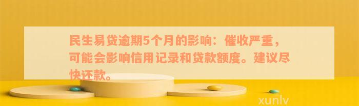 民生易贷逾期5个月的影响：催收严重，可能会影响信用记录和贷款额度。建议尽快还款。