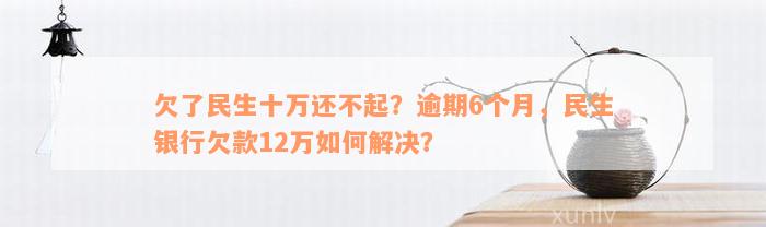 欠了民生十万还不起？逾期6个月，民生银行欠款12万如何解决？