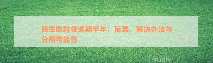 民生助粒贷逾期半年：后果、解决办法与分期可能性