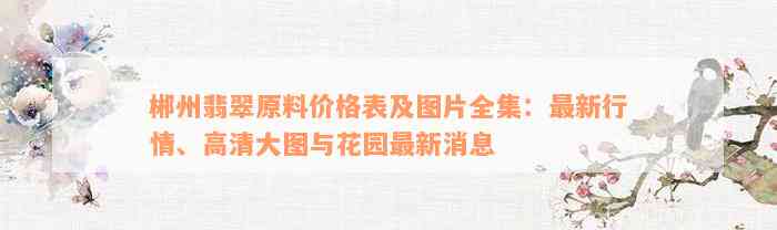 郴州翡翠原料价格表及图片全集：最新行情、高清大图与花园最新消息