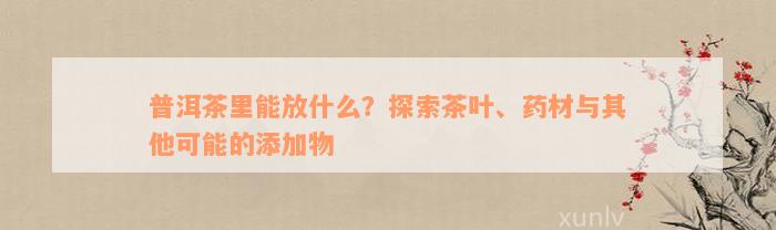 普洱茶里能放什么？探索茶叶、药材与其他可能的添加物