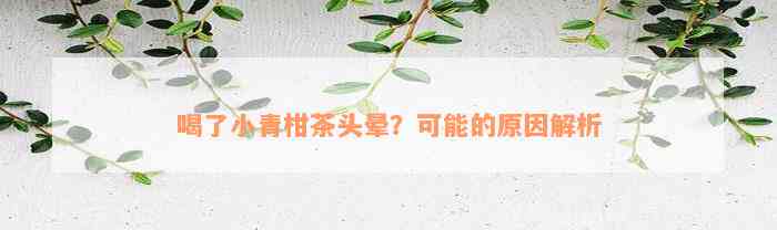 喝了小青柑茶头晕？可能的原因解析