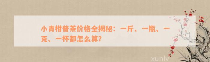 小青柑普茶价格全揭秘：一斤、一瓶、一克、一杯都怎么算？