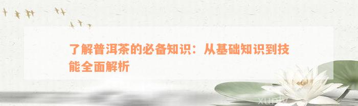 了解普洱茶的必备知识：从基础知识到技能全面解析