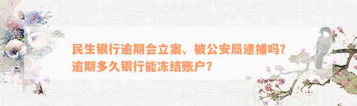 民生银行逾期会立案、被公安局逮捕吗？逾期多久银行能冻结账户？