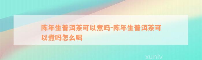 陈年生普洱茶可以煮吗-陈年生普洱茶可以煮吗怎么喝