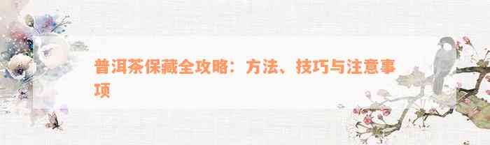 普洱茶保藏全攻略：方法、技巧与注意事项