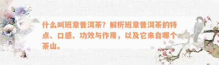 什么叫班章普洱茶？解析班章普洱茶的特点、口感、功效与作用，以及它来自哪个茶山。